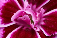 _HCS0073661AFP