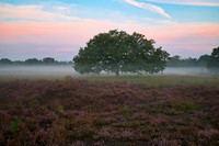 Cremers_20190825_HC09679LMR-Zenfolio Public