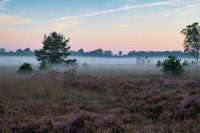 Cremers_20190825_HC09717LMR-Zenfolio Public