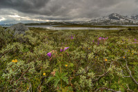 _HCS0004024_5_tonemapped