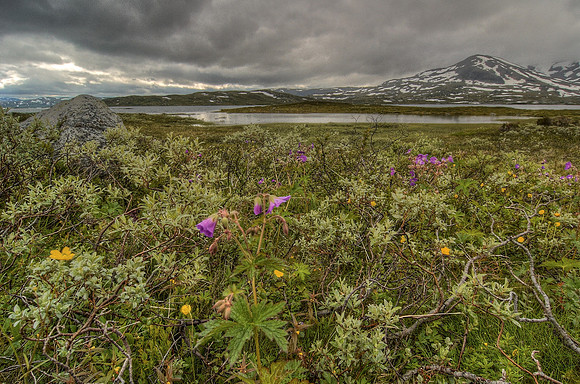 _HCS0004024_5_tonemapped