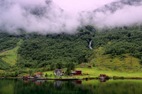_HCS0003981_PN_v1