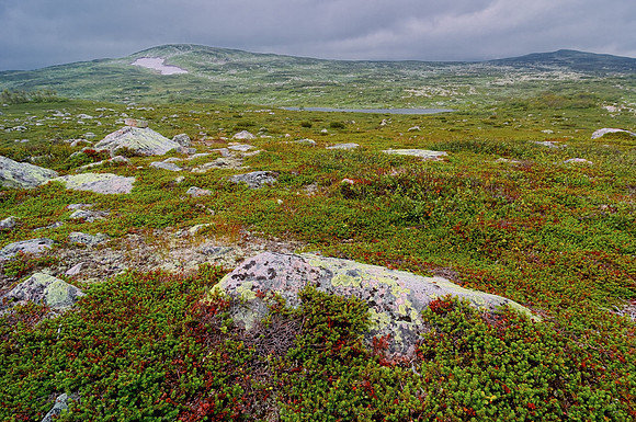 _HCS0004070_PN_v1