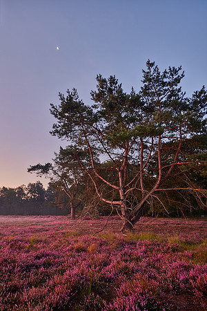 Cremers_20190825_HC09656-Full TIF HDR 16-bitHDR-Zenfolio Public