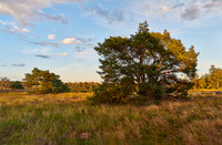 Cremers_20200821-202155_HC26918 PanoramaAFP