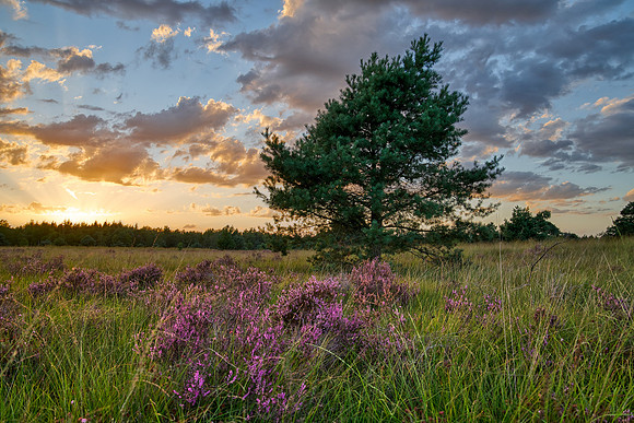 Cremers_20200821-203121_HC26943HDR