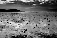 Cremers_20150804202000-0152