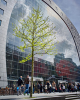 Cremers_20170415125256-_HH21689-Zenfolio Public